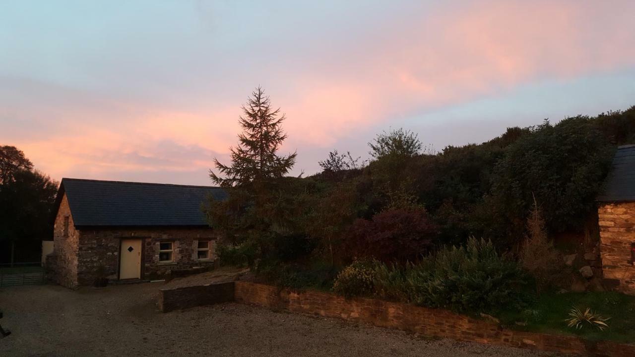 Tara Hill Estate Villa Gorey Buitenkant foto